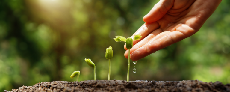 Engagement programs 101: The benefits of Marketo engagement programs